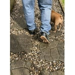 Image 4 of customer photos