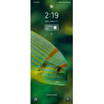 Image 7 of customer photos