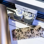 Image 7 of customer photos