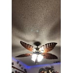 Image 6 of customer photos