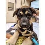 Image 10 des photos des clients