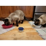 Image 4 of customer photos