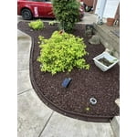 Image 8 of customer photos