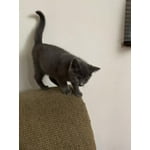 Image 5 of customer photos