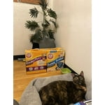 Image 4 of customer photos