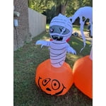 Image 5 of customer photos