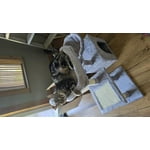 Image 7 of customer photos