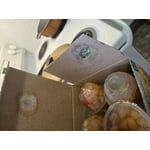 Image 4 of customer photos