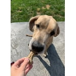 Image 6 of customer photos