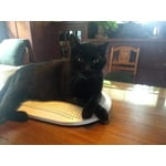 Image 2 of customer photos