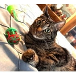 Image 3 of customer photos