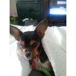 Image 6 of customer photos