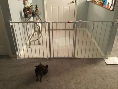 regalo 76 inch baby gate