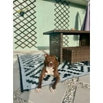 Image 7 of customer photos