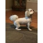 Image 2 of customer photos