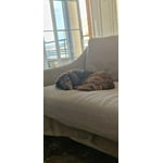 Imagen 7 de las fotos del cliente