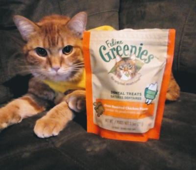 feline greenies walmart