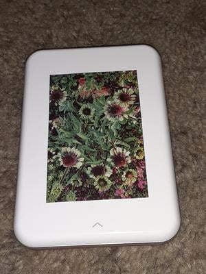 canon ivy printer walmart