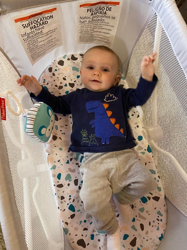 pacific pebble fisher price