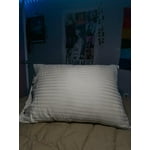 Image 7 of customer photos