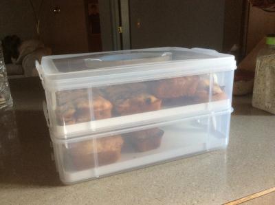 Snap 'N Stack Enter-Tainers 2-Layer Cookie, Cake & Brownie Carrier