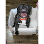 Image 3 of customer photos