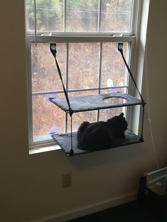 k&h ez mount window bed kitty sill