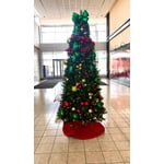 Image 7 of customer photos