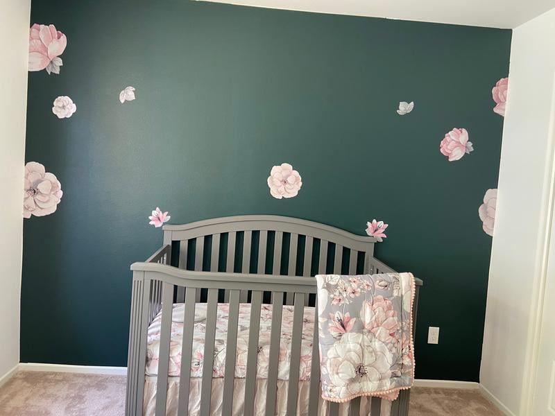 lambs and ivy botanical