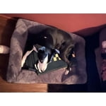 Image 5 of customer photos