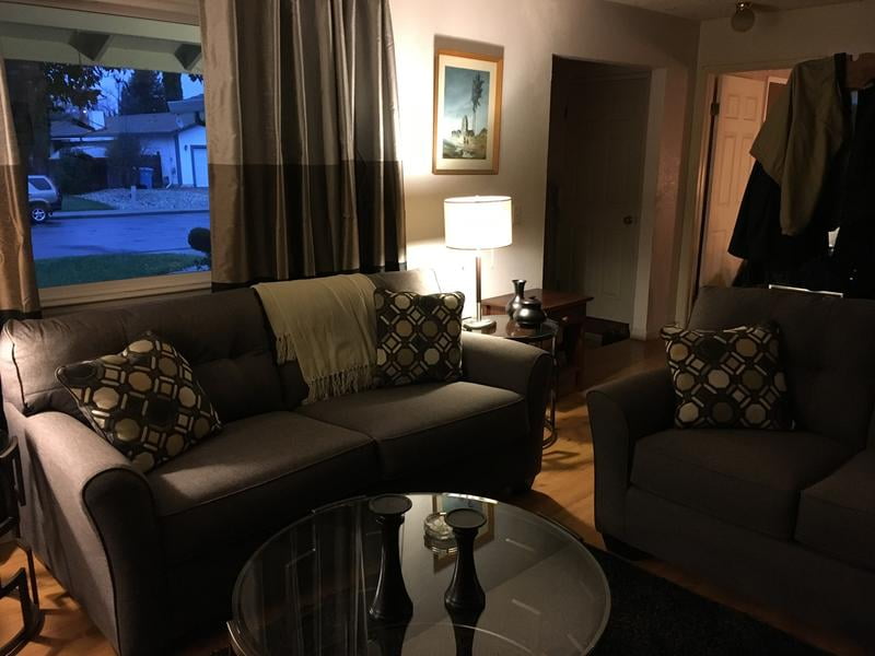 Tibbee Sleeper Sofa Review Matttroy