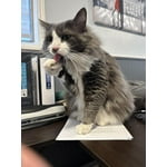 Image 2 of customer photos