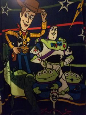Buzz Lightyear Rex Plush Throw Blanket Twin Disney Pixar Toy Story Woody 