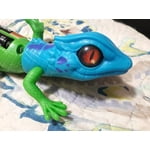 Image 3 of customer photos