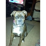 Image 1 of customer photos