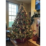 Image 3 of customer photos