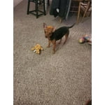 Image 2 of customer photos