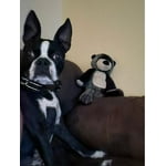 Image 2 of customer photos