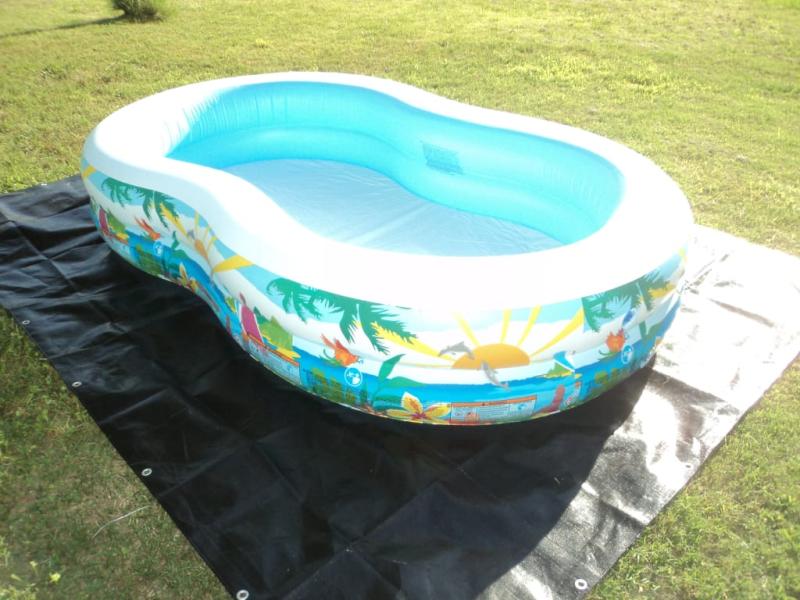 intex swim center paradise inflatable pool