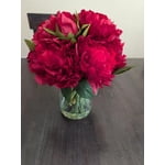 Image 6 of customer photos
