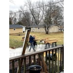 Image 1 of customer photos