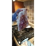 Image 5 of customer photos