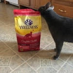 Image 6 of customer photos