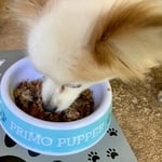 Image 5 of customer photos