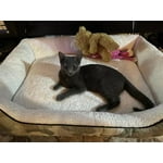 Image 7 of customer photos