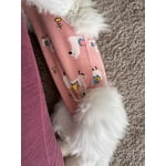 Image 5 of customer photos