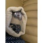 Image 4 of customer photos