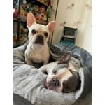 Image 3 of customer photos