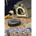 Image 2 of customer photos