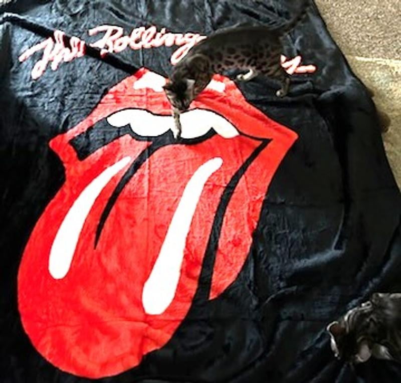 Customer reviews for Classic Rock Band Luxury Throw Blanket, 60